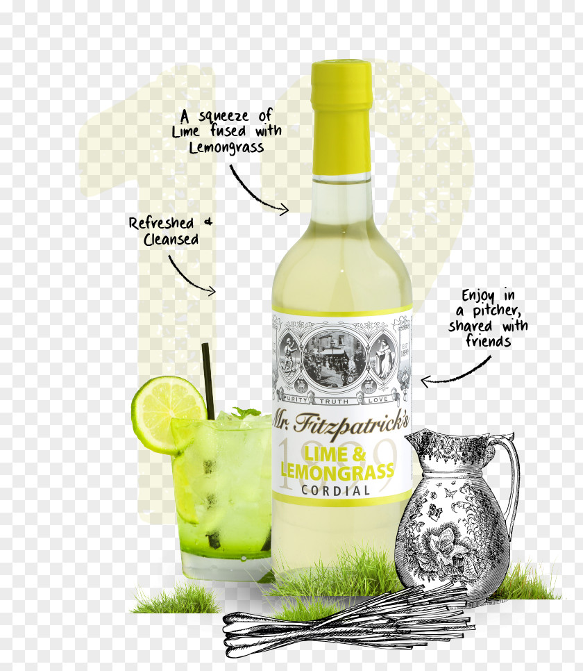 Lime Liqueur Limeade Squash Vodka Tonic PNG