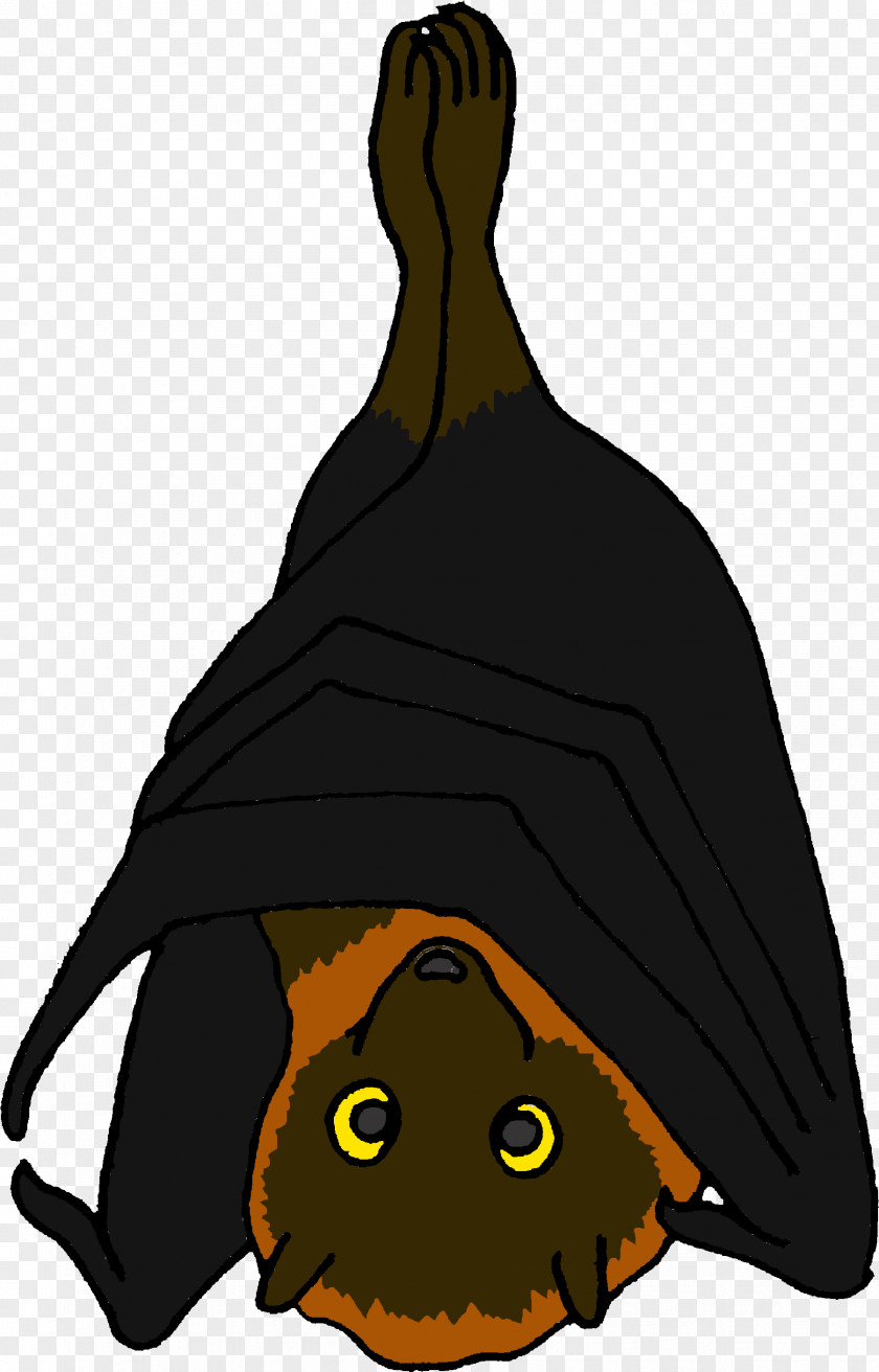 Witch Hat Bat Cartoon PNG