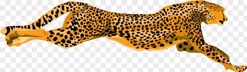 Cheetah Pic Leopard Tiger Clip Art PNG