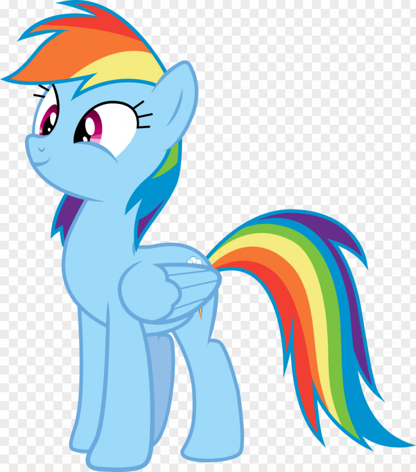Dash Rainbow Pony Twilight Sparkle Rarity Art PNG