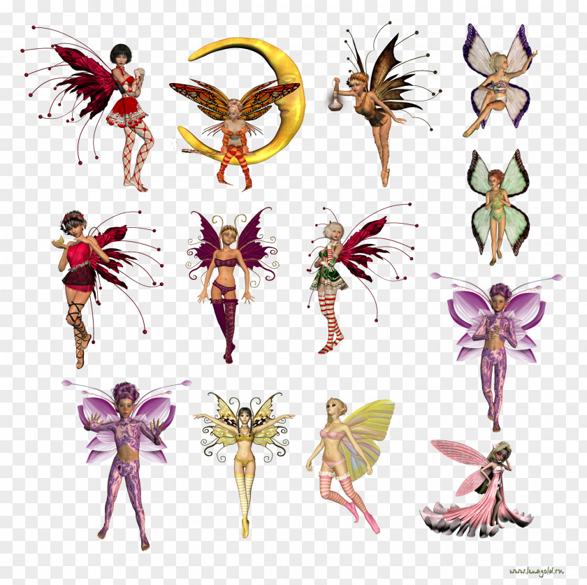 Fairy Elf Desktop Wallpaper Clip Art PNG