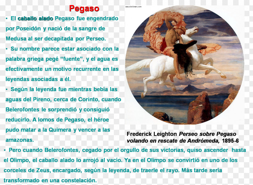 Pegasus Perseus And Andromeda Danaë Medusa PNG