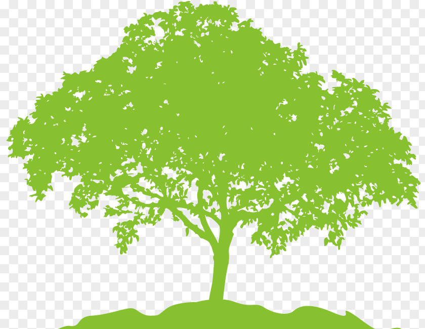 Silhouette Tree Clip Art PNG