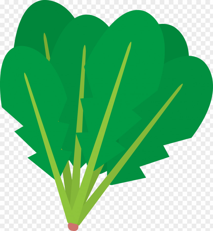 Silhouette Vegetable Spinach Food PNG