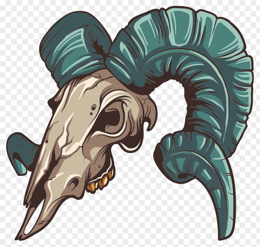 Skull Animal Skulls Horn PNG