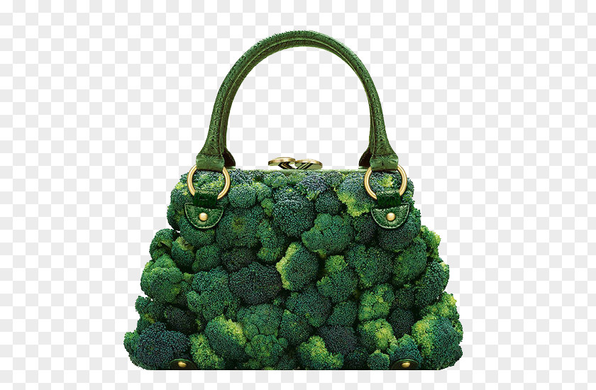 Broccoli Package Photographer Handbag Photography Fashion Food PNG