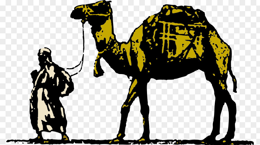 Camel Football Cliparts Dromedary Free Content Clip Art PNG