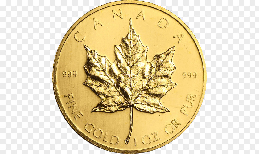 Canada Canadian Gold Maple Leaf Coin PNG