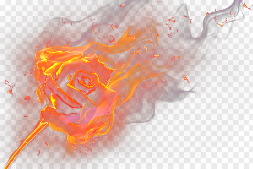 Flame Rose PNG