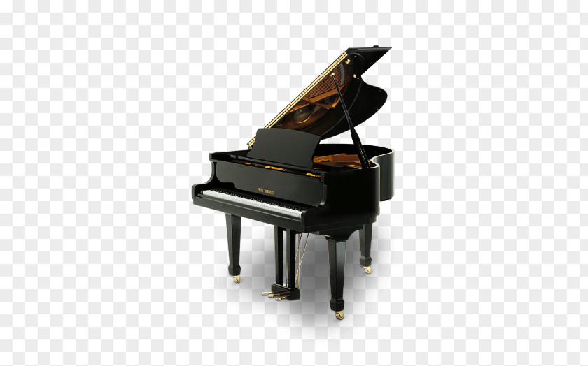 Piano Player Digital Fritz Dobbert Kawai Musical Instruments PNG