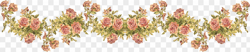 Plant Flower Cut Flowers Pink PNG