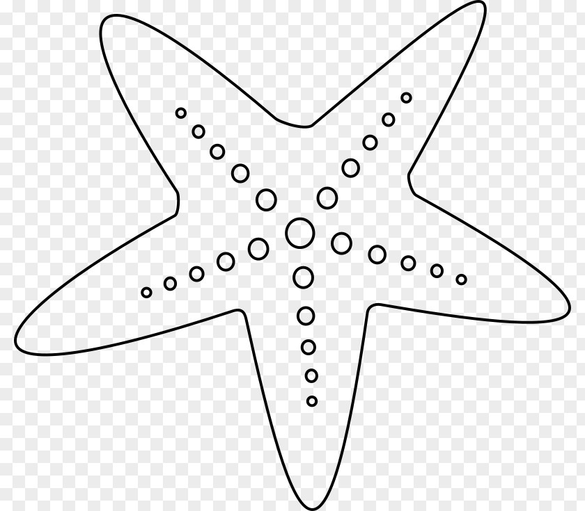 Sea Star Starfish Black And White Clip Art PNG