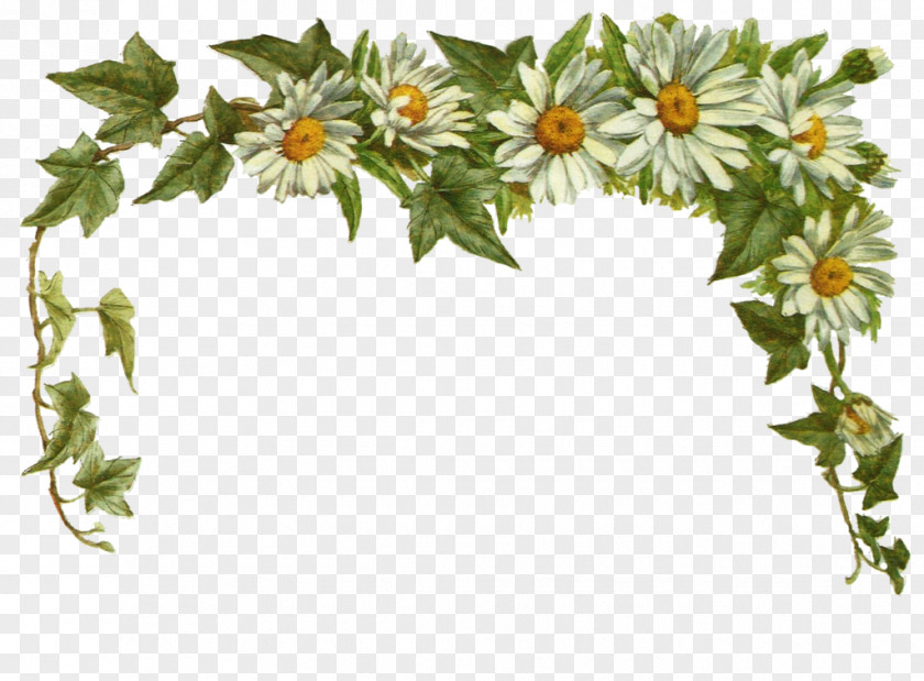 Vintage Daisy Cliparts Download Flower Clip Art PNG