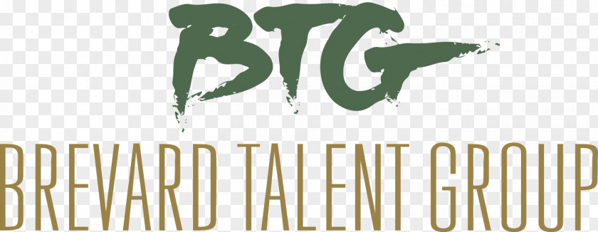 Warped Tour Brevard Talent Group Logo Brand BTG PLC PNG