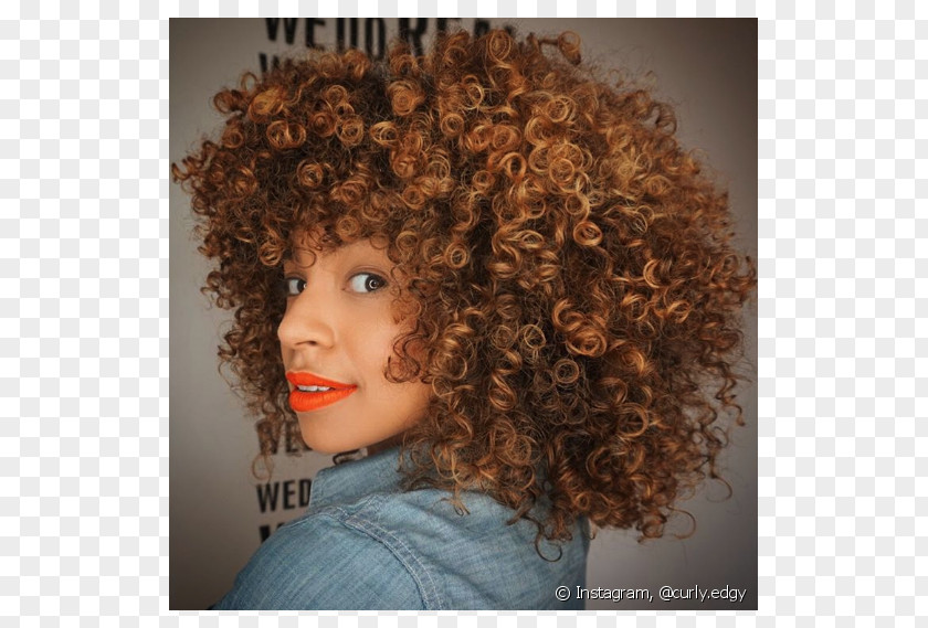 Cabelo Afro Hair Coloring Brown Chestnut PNG