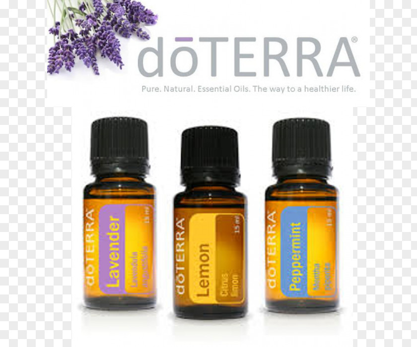 Essential Oils Oil DoTerra Household Insect Repellents Aroma Compound PNG