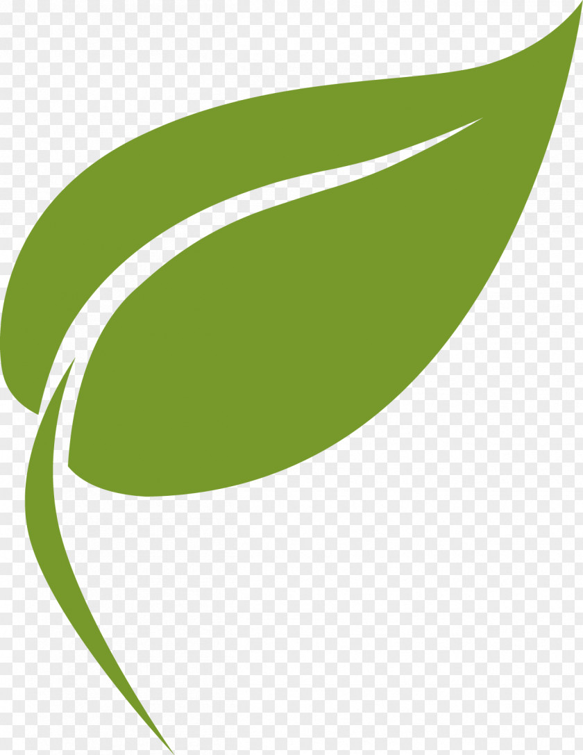 Leaf Logo Production PNG