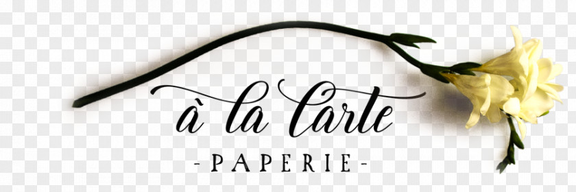 Banner Invitation Wedding Paper Convite Week-end Surprise PNG