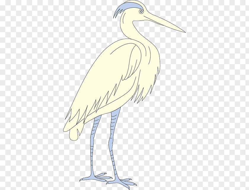 Bird Flapping Wings Heron Little Egret Clip Art Drawing PNG