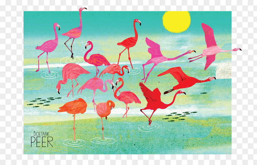 Flamingos Water Bird Painting Art PNG