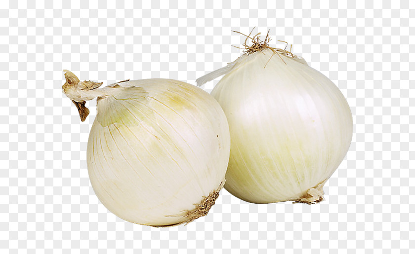 Onion French Soup White Red Yellow PNG