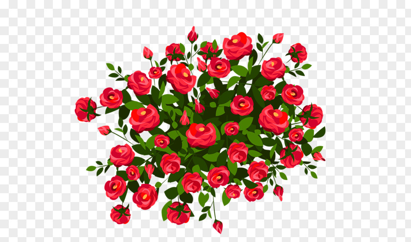 Rose Shrub Drawing Clip Art PNG