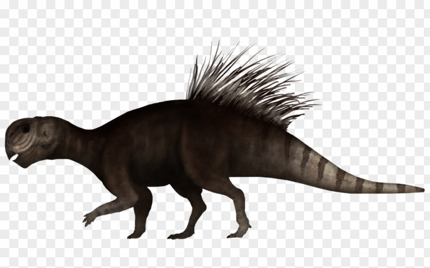 Toucan Tyrannosaurus Psittacosaurus Dinosaur Pachycephalosaurus Sauropelta PNG