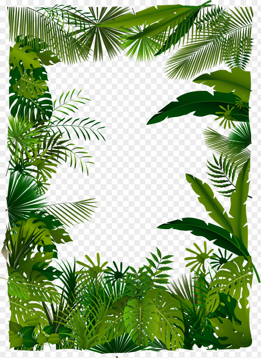 Vector Trees Tropical Forest Euclidean Tree Illustration PNG