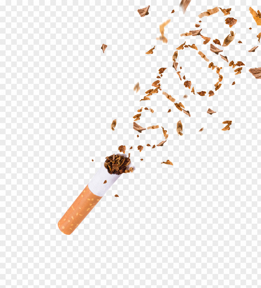 Cigarette Smoking Cessation Tobacco PNG
