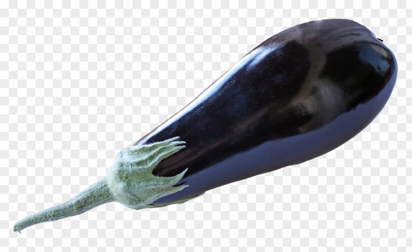 Eggplant Vegetable Tomato PNG