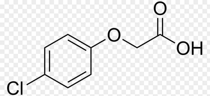 Acid Caffeic P-Coumaric Phloretic PNG