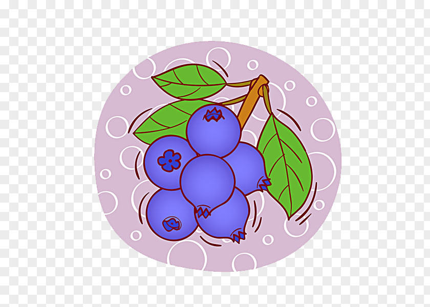 Blueberry Icon Grape Illustration PNG