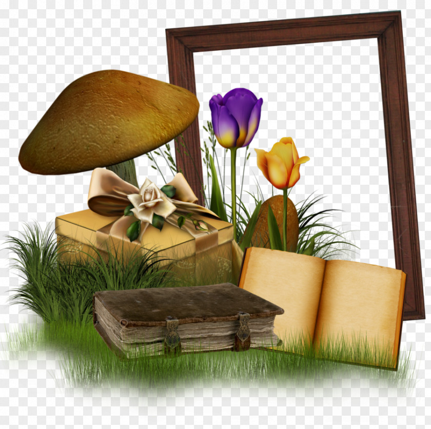 Book Frame Clip Art PNG