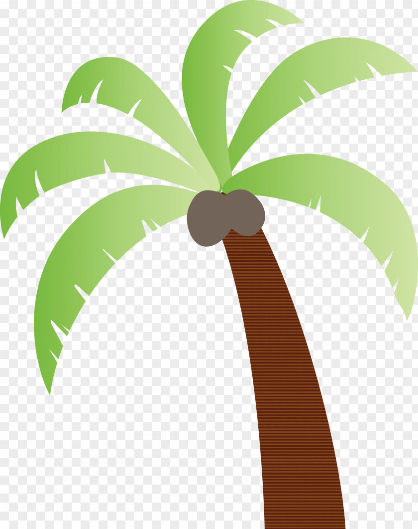 Coconut PNG