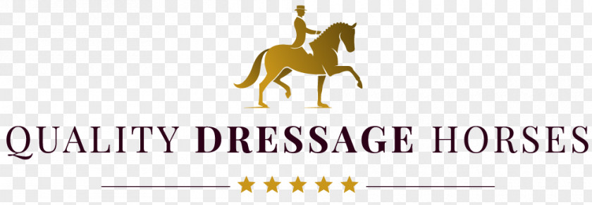 Horse Dressage Pack Animal Fajer Al-sabah School Levels PNG