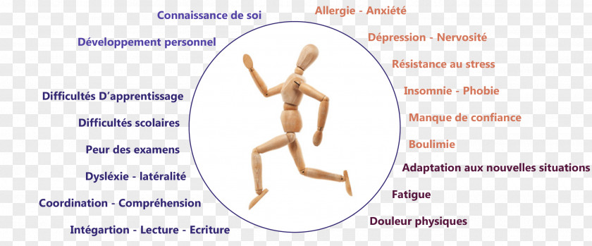 Kinésiologie Et Naturopathie Naturopathy HealthAcupuncture Applied Kinesiology Christine GILET PNG