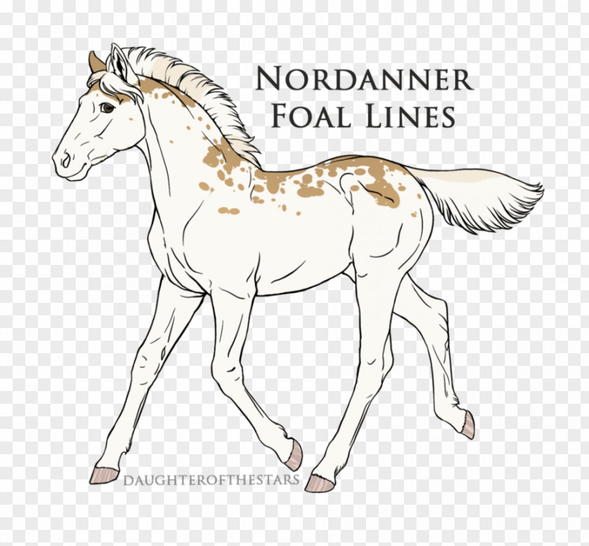 Mustang Foal Pony Stallion Line Art PNG