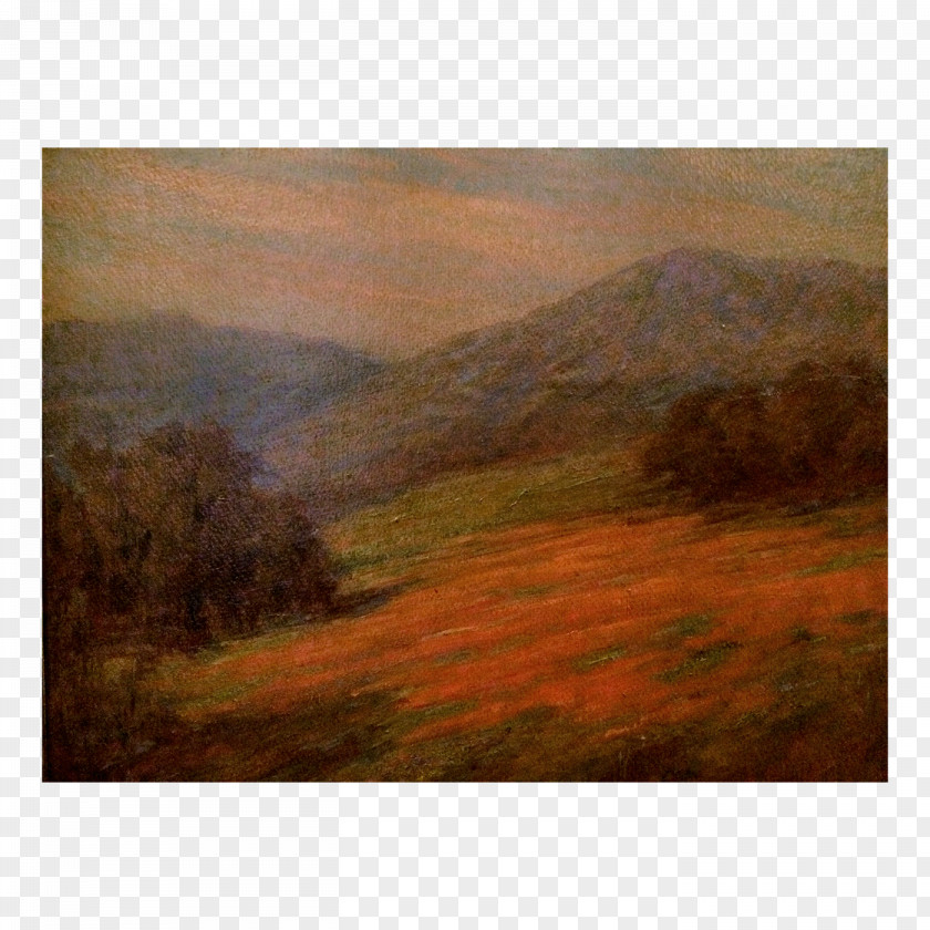 Painting Acrylic Paint Lake District Meadow PNG