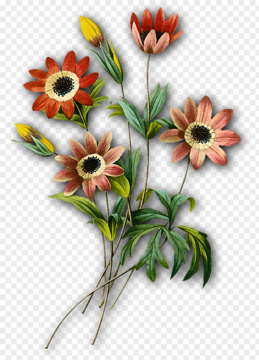 Catalog Flower Calendar Floral Design PNG