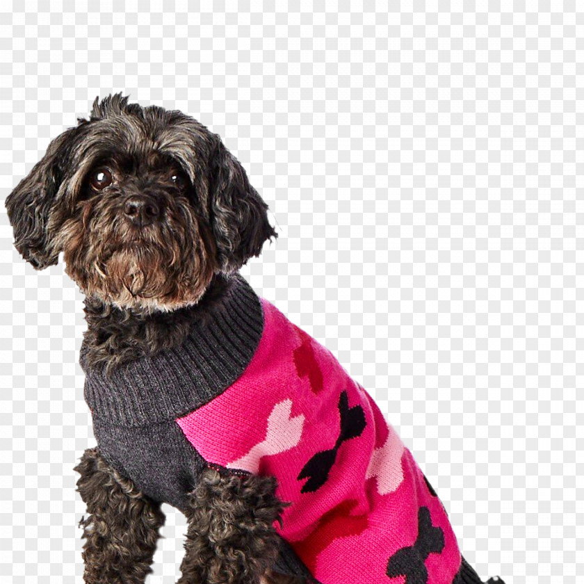 Hotel Schnoodle Affenpinscher Dog Breed Companion Clothes PNG