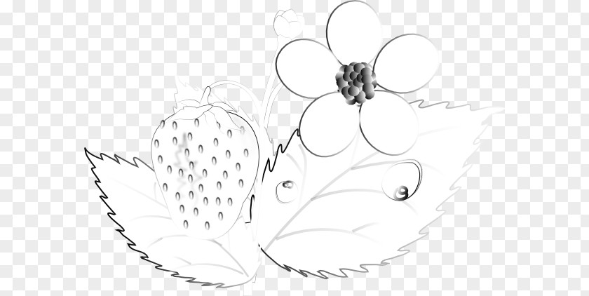 Strawberry Outline Insect Pollinator Line Art Petal Sketch PNG