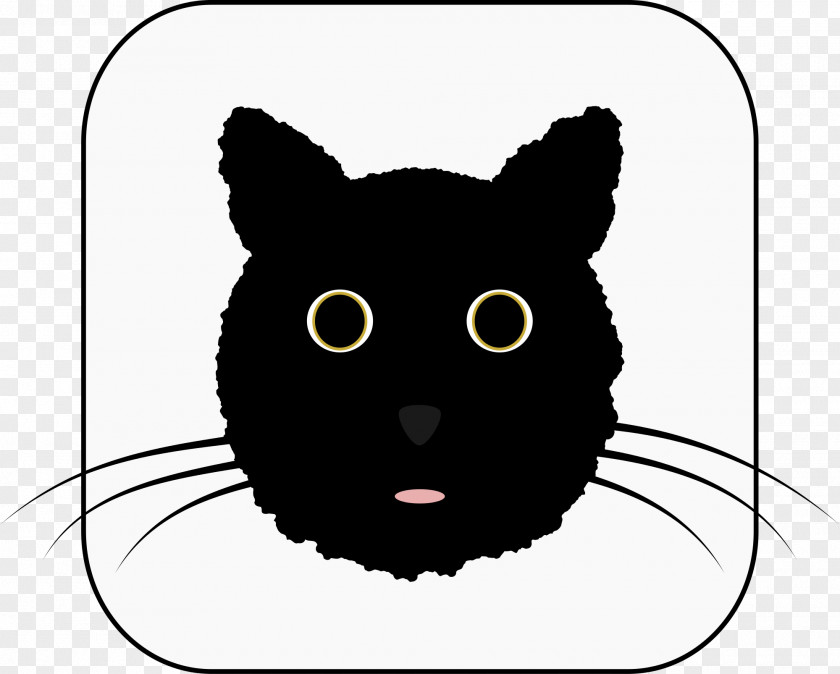 Black Cat Kitten Whiskers Mammal PNG