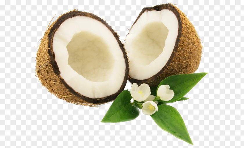 Coconut Milk PNG