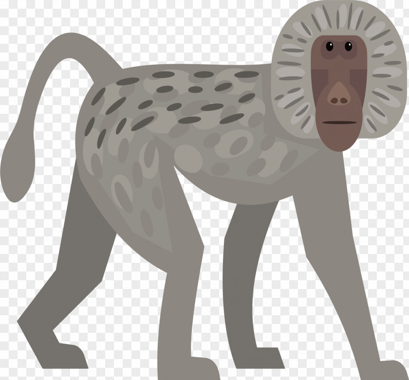 Gray Monkey Vector Euclidean PNG