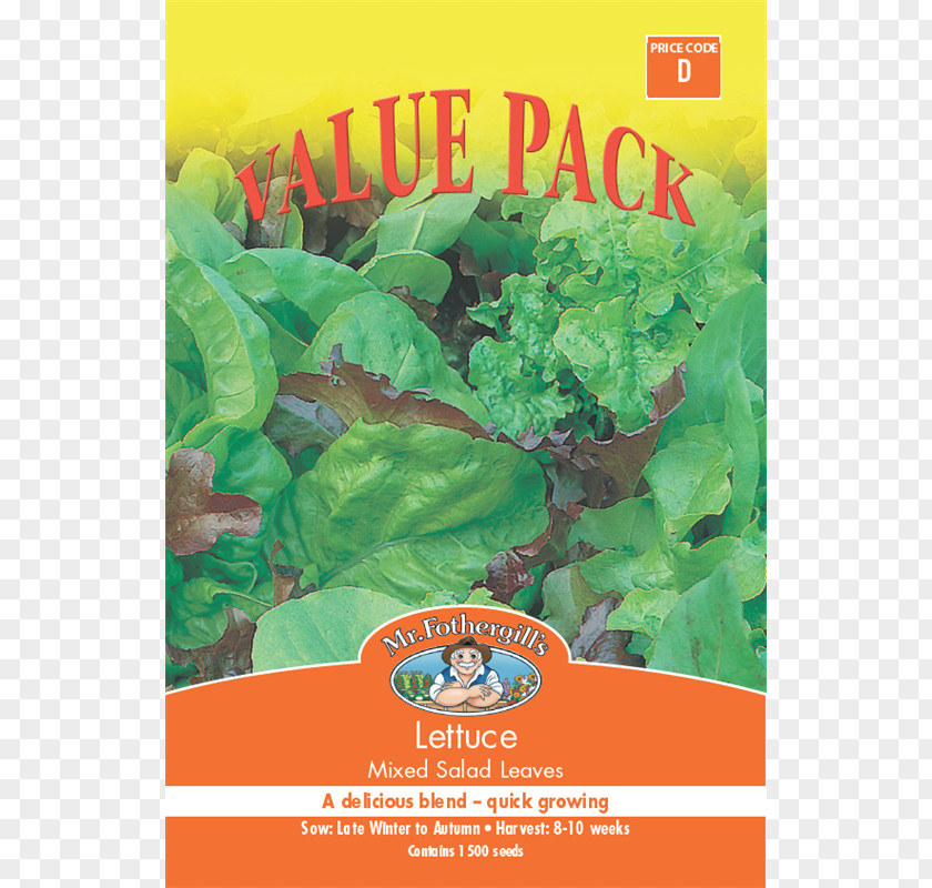 Lettuce Watercolor Misticanza Herb Leaf Vegetable Seed PNG