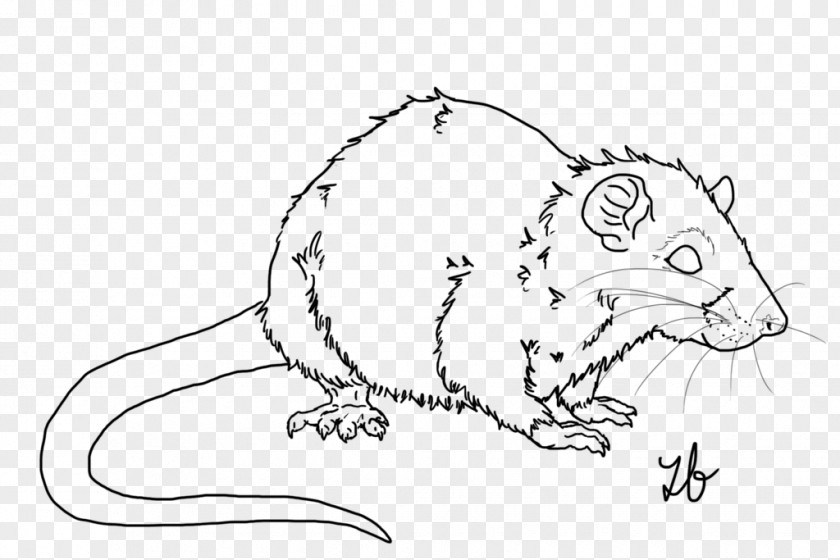 Rat Line Art Cat Whiskers Mouse PNG