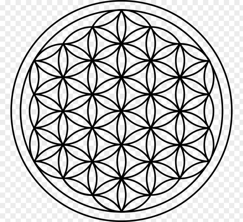 Sacred Geometry Overlapping Circles Grid Drawing PNG