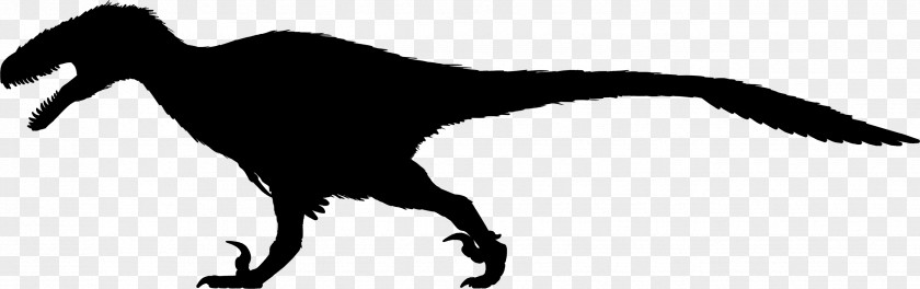 Dinosaur Deinonychus Velociraptor Utahraptor Austroraptor Achillobator PNG