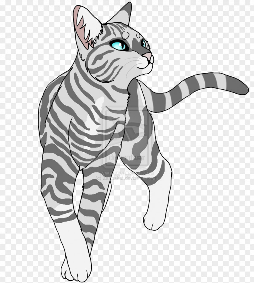 Eucaliptus Cat Warriors Silverstream Thistleclaw PNG