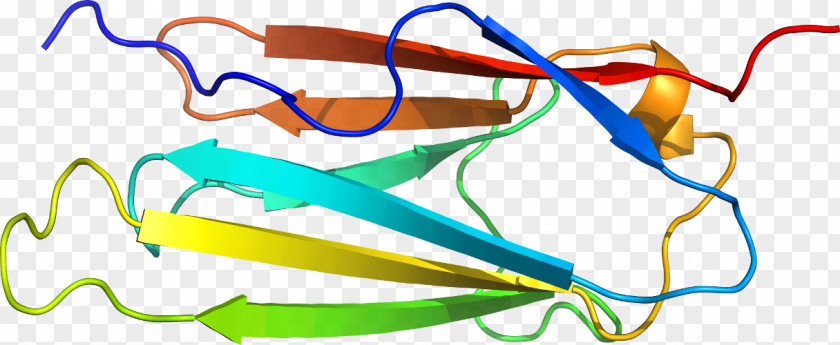 Glasses Goggles Clip Art PNG